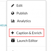 select caption + enrich